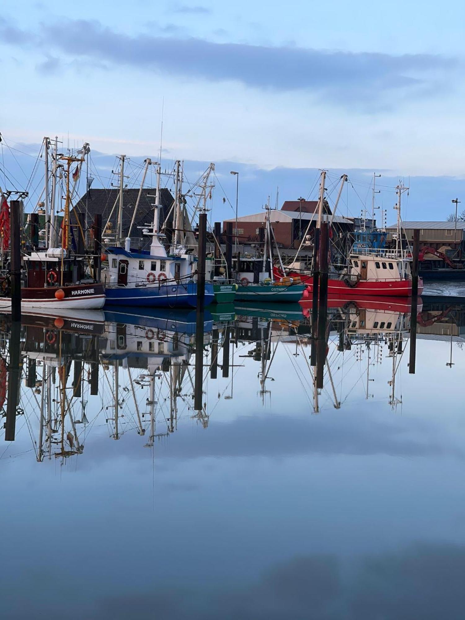 Ferienwohnung Hein Am Nordseedeich Butjadingen Zewnętrze zdjęcie